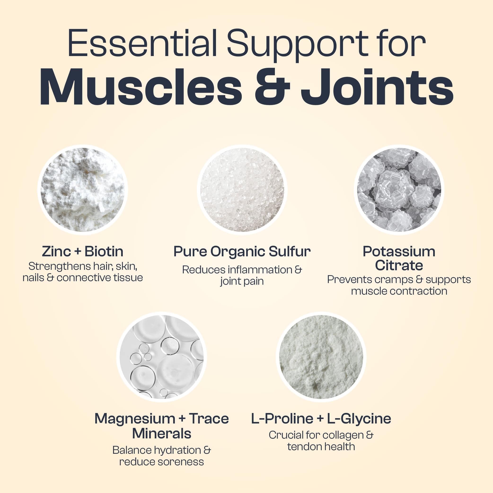 Muscle & Joint Bundle