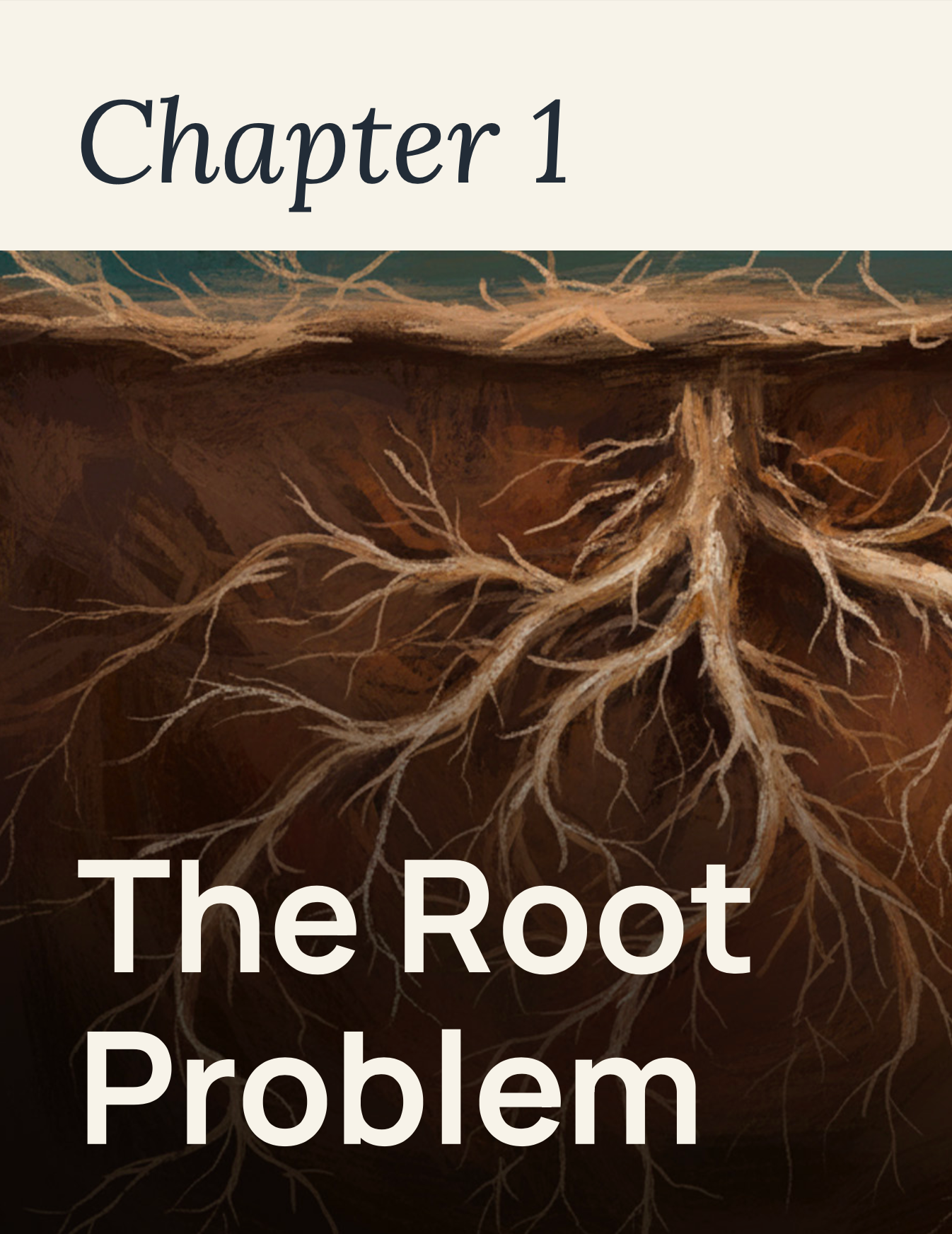 E-Book: 21 Day Inflammation Challenge