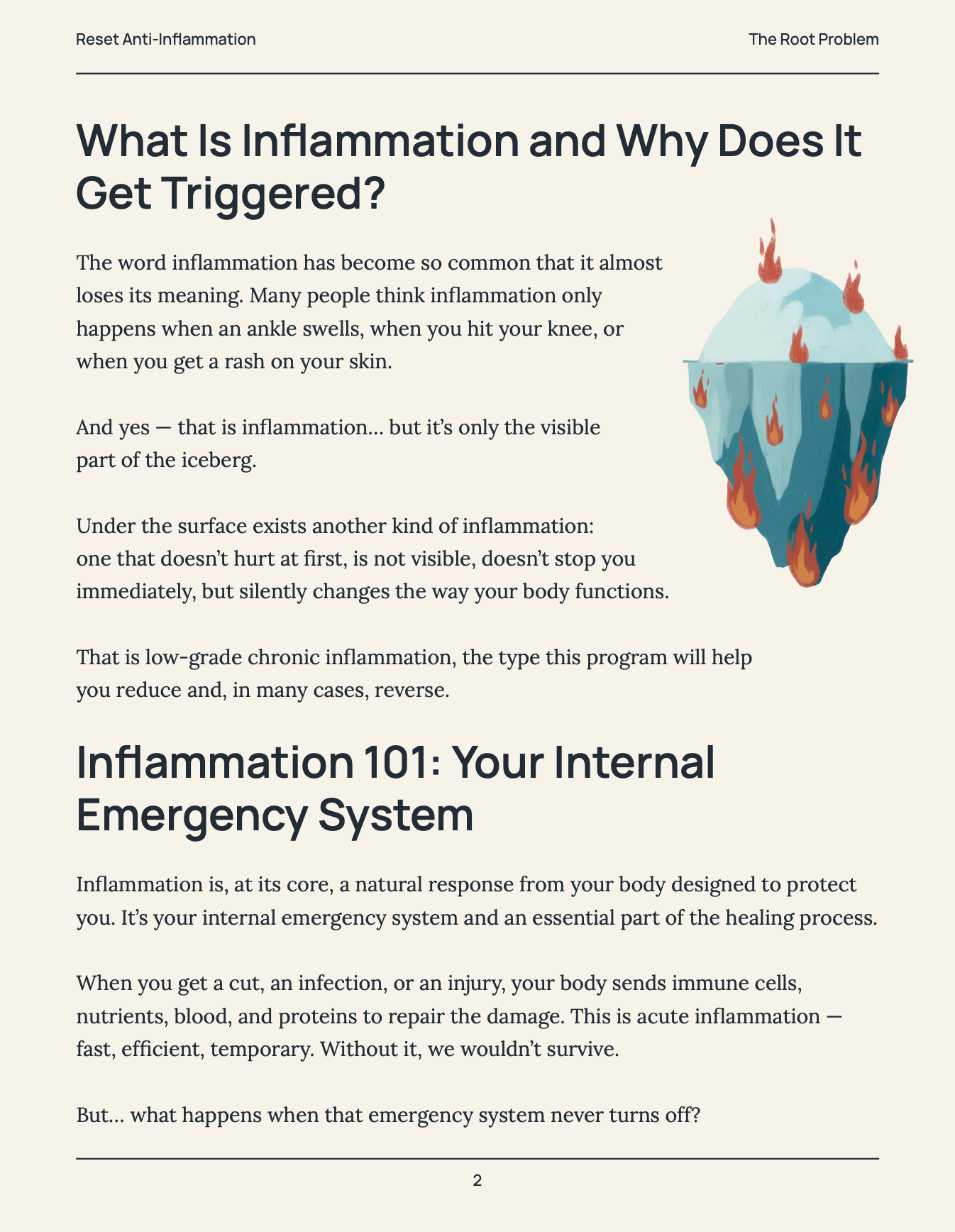 E-Book: 21 Day Inflammation Challenge