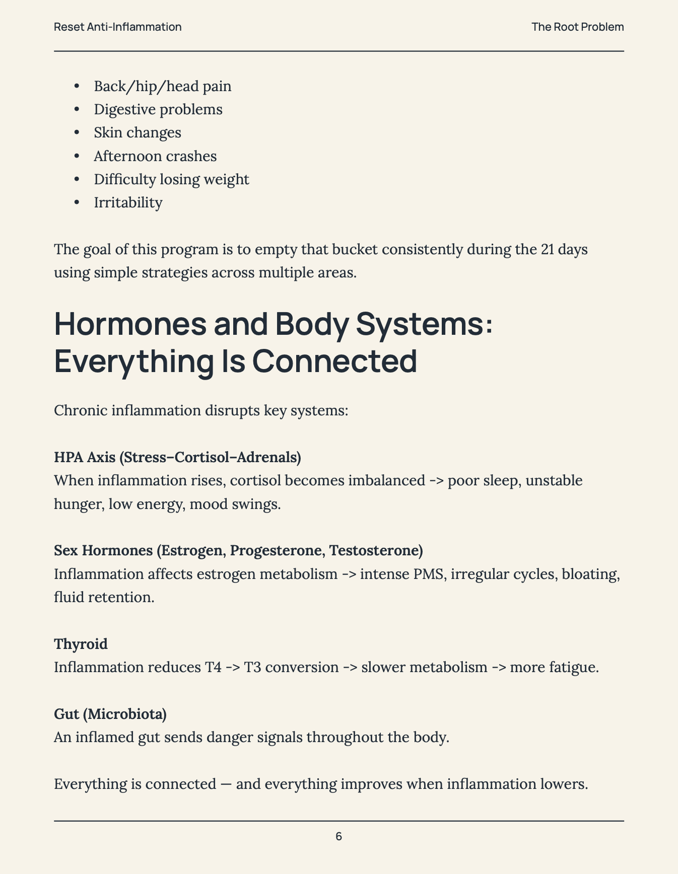 E-Book: 21 Day Inflammation Challenge